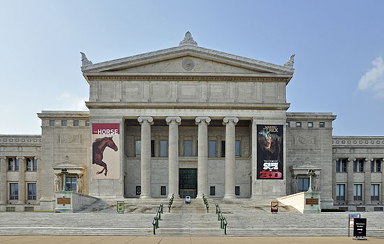 Field Museum of Natural History in Chicago