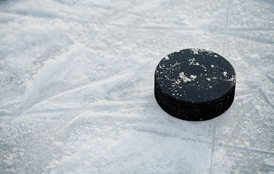 The Chicago Blackhawks - National Hockey League Team