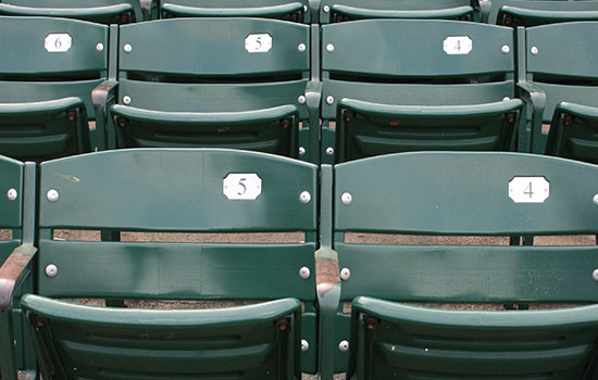 The Chicago Cubs - Major League Baseball (MLB) Team