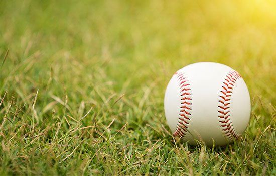 The Chicago White Sox - Major League Baseball (MLB) Team